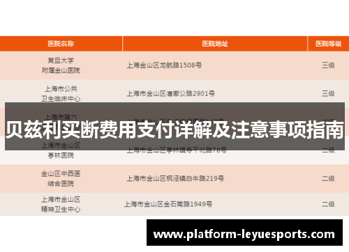 贝兹利买断费用支付详解及注意事项指南 贝兹利买断费用支付详解及注意事项指南