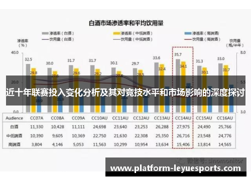 近十年联赛投入变化分析及其对竞技水平和市场影响的深度探讨