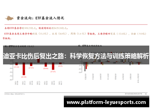 迪亚卡比伤后复出之路：科学恢复方法与训练策略解析
