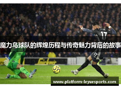 魔力鸟球队的辉煌历程与传奇魅力背后的故事