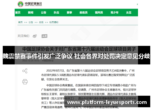 魏震禁赛事件引发广泛争议 社会各界对处罚决定意见分歧 魏震禁赛事件引发广泛争议 社会各界对处罚决定意见分歧
