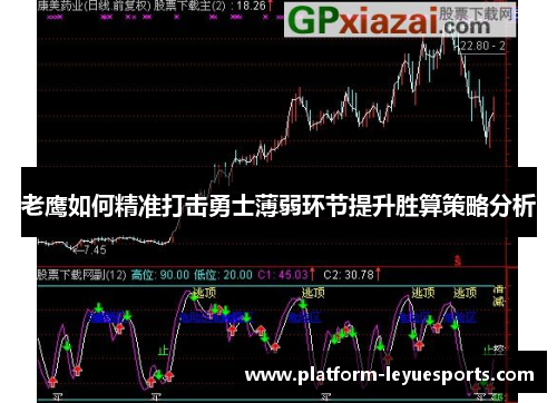 老鹰如何精准打击勇士薄弱环节提升胜算策略分析