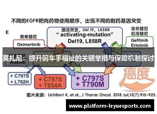 莫扎尼:提升前车手福祉的关键举措与保障机制探讨 莫扎尼:提升前车手福祉的关键举措与保障机制探讨