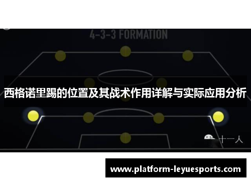 西格诺里踢的位置及其战术作用详解与实际应用分析