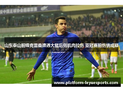 山东泰山前锋克雷桑遭遇大腿后侧肌肉拉伤 亚冠赛前伤情成疑 山东泰山前锋克雷桑遭遇大腿后侧肌肉拉伤 亚冠赛前伤情成疑
