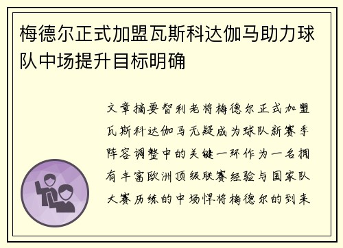 梅德尔正式加盟瓦斯科达伽马助力球队中场提升目标明确